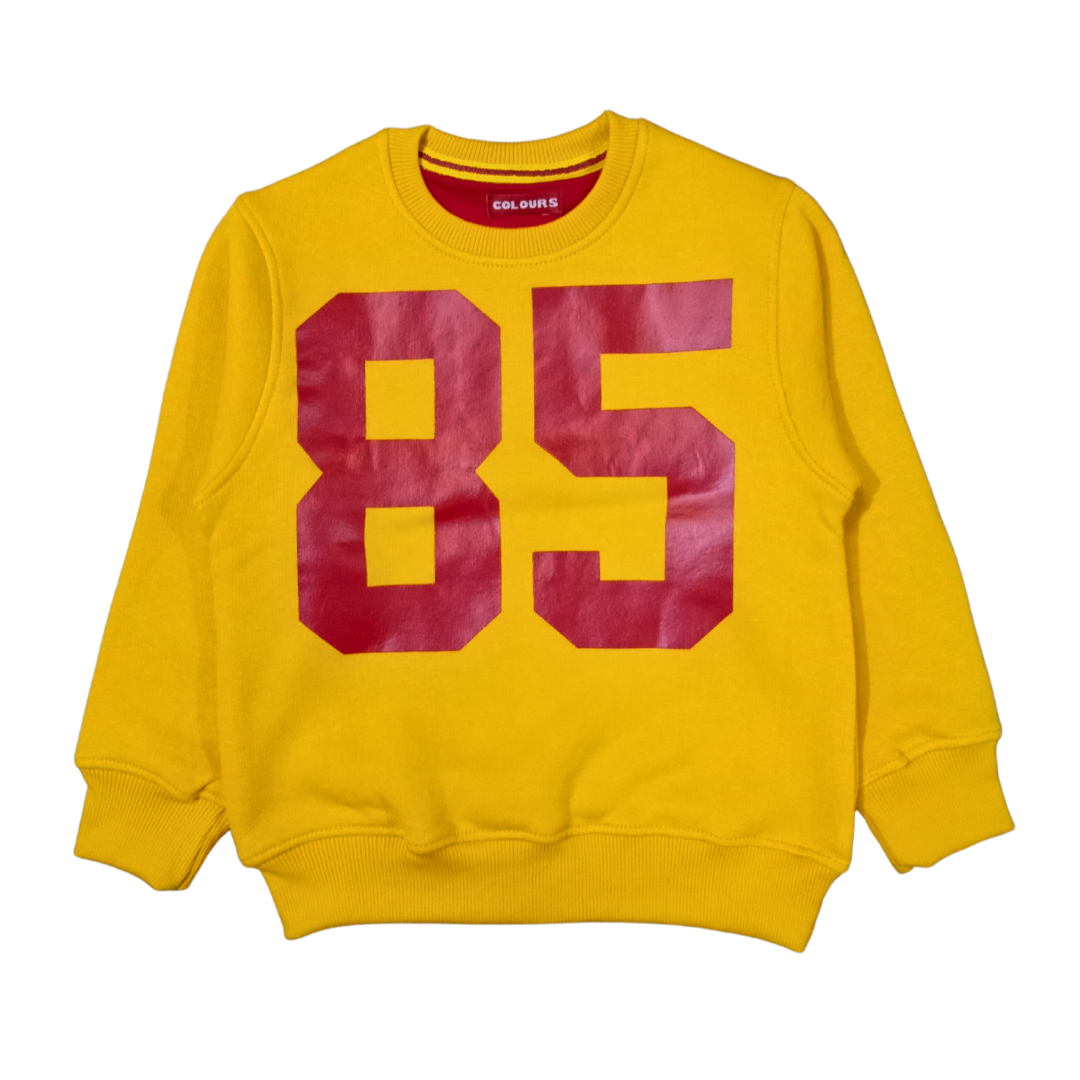 Boys Fleece Sweatshirt