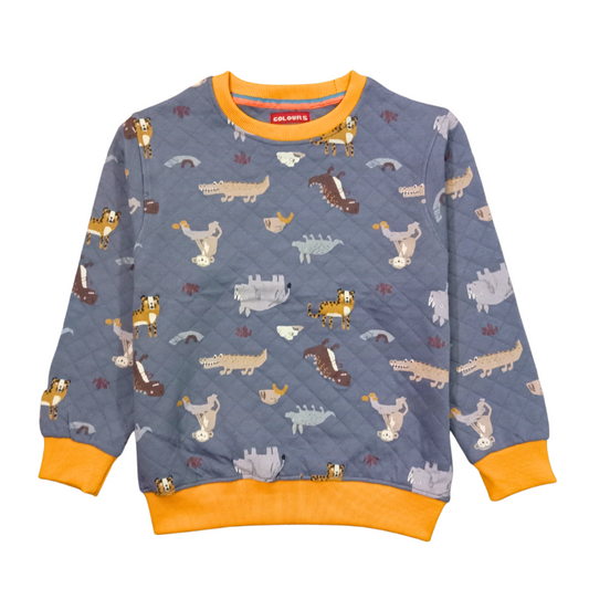 Boys Sweatshirt